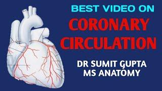 CORONARY CIRCULATION OF HEART