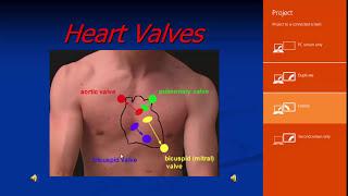 Echo Assessment of Valvular  Heart Diseases, Dr. Sameh Samir