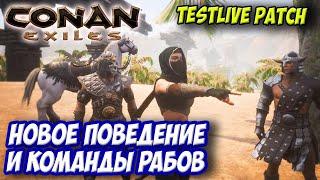 Conan Exiles Testlive Client  Тестовая обнова на новое поведение и новые команды для рабов 