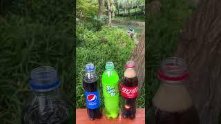 Coca cola vs Pepsi vs Sprite vs Mentos Experiment