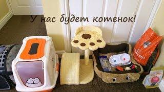 ПОКУПАЕМ ПИТОМЦА  Что нужно котёнку? Готовимся к покупке котёнка!!!