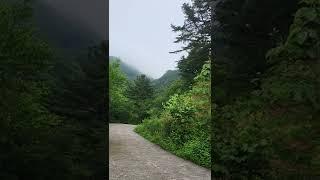 장마를 앞 둔 산의 느낌1 #천마산 #남양주여행 #임도 #트레킹 #천마산숲