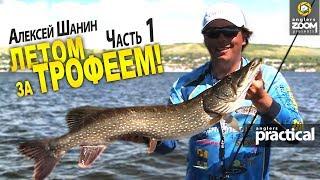 Летом за трофеем! Часть 1. Ловля щуки на Волге. Алексей Шанин. Anglers Practical