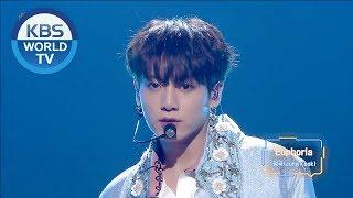 BTS Jungkook - Euphoria [2018 KBS Song Festival / 2018.12.28]