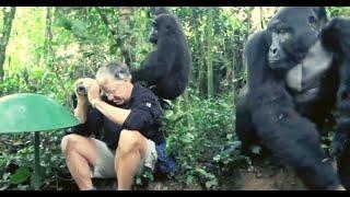 19 CRAZIEST Animal Encounters Ever Filmed - Best of Malevolent Elephant