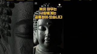 복이 머무는 사람에게는 공통점이 있습니다 #부처님말씀 #명언 #자기수행