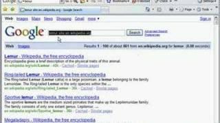 Using the Google Toolbar to Search Within a Website