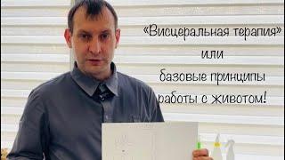 «Висцеральная терапия» или базовые принципы работы с животом.