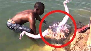 He finds Real Life Mermaid... Then This Happens..