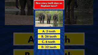 How many teeth does an Elephant have? #animalfacts #elephantfacts #gk