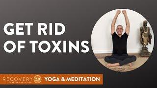 Focus on the Lymph System | Yoga with Tommy Rosen