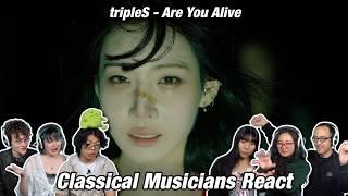 The 24-member POWERHOUSE is back! Classical Musicians React: tripleS(트리플에스) '깨어 (Are You Alive)'!