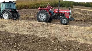 MASSEY FERGUSON 285S ERKUNT BEREKET 60 ÇEKİŞMESİ