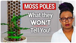 EXPERTLY Use A Moss Pole For Plants (They Won't Tell You This!)