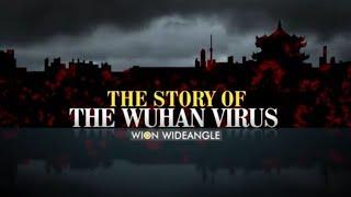 WION Wideangle: The story of the Wuhan Virus | WION News | COVID-19 Pandemic