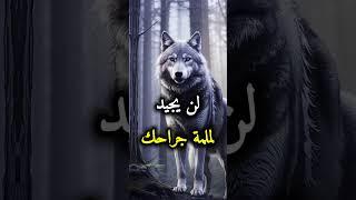 حكم وأقوال ملهمه عن واقع الحياة #حكم أقوال#إلهام#حياة#تحفيز#نصائح_حياتيه