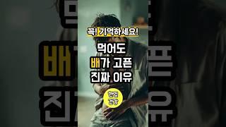 먹어도 배고프다면, 이 3가지를 의심하세요! #늘배고픔 #식욕조절 #수면부족 #스트레스 #단백질부족 #한입건강tv #건강정보 #건강습관 #쇼츠건강