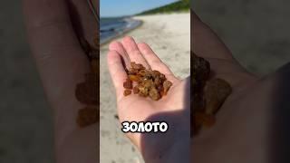 Нашел золото в Балтийском море. #море #золото #shprts