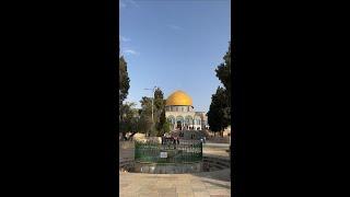 Let’s go up to the Temple Mount!