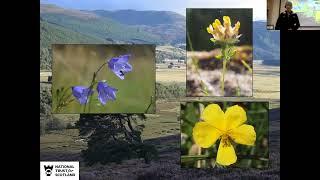 Plant Conservation at Mar Lodge National Nature Reserve