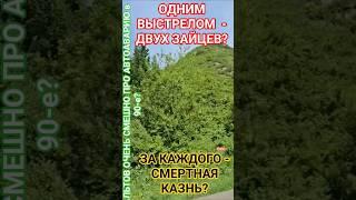 Вот в кого бы Въехать ПЕРЕДКОМ? #здоровье #юмор #честь #смех #удачи #мудрость #деньги #альтов