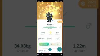  Lucky Shinx Family! (Luxio, Luxray) Pokemon Go! #pokemon #pokemongo #pokémongo