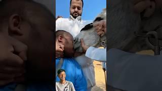 Mix funny video #shortsfeed #comedy