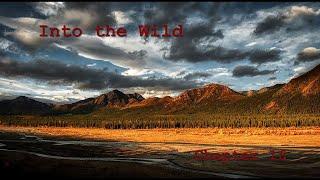 Into the Wild Chapter 16 Summary