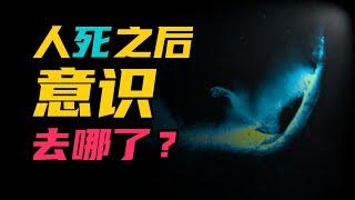 人死之後，意識去哪了？一旦被證實，將顛覆人類90%的認知 | 雅桑了嗎