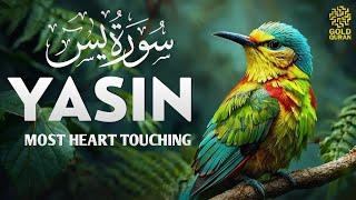 World's most beautiful Quran recitation of Surah Yasin (Yaseen) سورة يس  Gold Quran