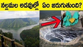 SAVE NALLAMALA FOREST - PROTEST AGAINST URANIUM MINING IN NALLAMALA FOREST IN TELUGU - FACTS 4U