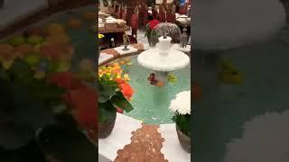 مطعم البيت الدمشقي اجواء رائعة .