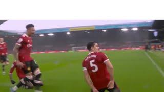 That celebration of Harry Maguire after scoring an own goal  #maguire #manunited   #funny #epl