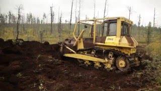 Тайга до горизонта Д Слободчиков