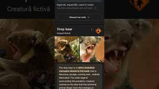 drop bear / Alex#edits