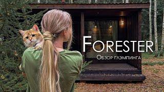 Глэмпинг в 2 часах от Москвы. Лесной эко-глемпинг "Forester" в Ярославской области.