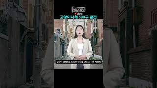 한 아파트에서 발견된 고양이 사체 500구 | 영남일보TV