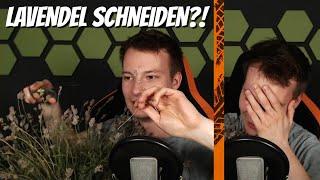 Ansgar wird Gärtner?‍ | Live LAVENDEL schneiden! | Nordrheintvplay Stream Highlights