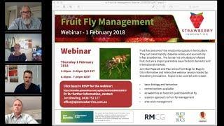 Fruit Fly Management in Strawberries