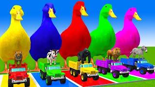 5 Giant Duck Cartoon,Cow,Mammoth,Dog,T-Rex,Lion,Tiger Paint Wild Animals Crossing Fountain Animation