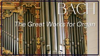 Prelude and Fugue in A minor - J.S. Bach - Organist Charles Burks - Janke  Organ, Bückeburg Germany