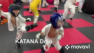 Тренування у “KATANA Dojo”