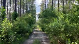 Driving through the ghost town of St Francis Florida