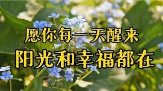 散文诵读《愿你每一天醒来，阳光和幸福都在》心若阳光，生活灿烂