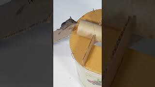 Most Effective & Easy Mouse Trap Bucket Ever! Best Rat Trap!