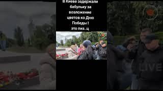 нет слов .одни эмоции