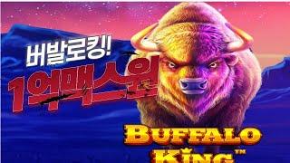 [슬롯뽕]   BUFFALOKING MEGAWAYS:버팔로킹 1억 맥스윈 MAXWIN