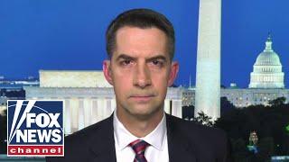 Sen. Tom Cotton: Sometimes ‘bad apples’ slip through the system