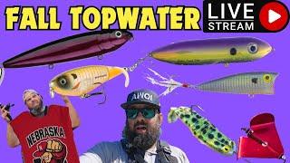 (LIVE) Catch MORE Fall Topwater Fish!