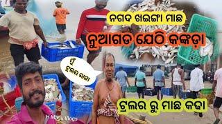 ନୁଆଗଡ ଯେଠି ରେ ଲାଗିଲା ଟ୍ରଲର | କଙ୍କଡ଼ା ଆଉ ଖଙ୍ଗା ମାଛ ଆଣିଲୁ | ଟାପା ରେ ଆସିଲା ଖଇଙ୍ଗା ମାଛ | H Magu Vlogs